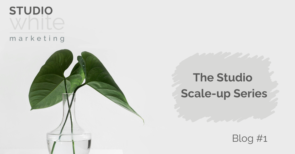 Blog #1 Introducing…The Studio Scale-Up Series