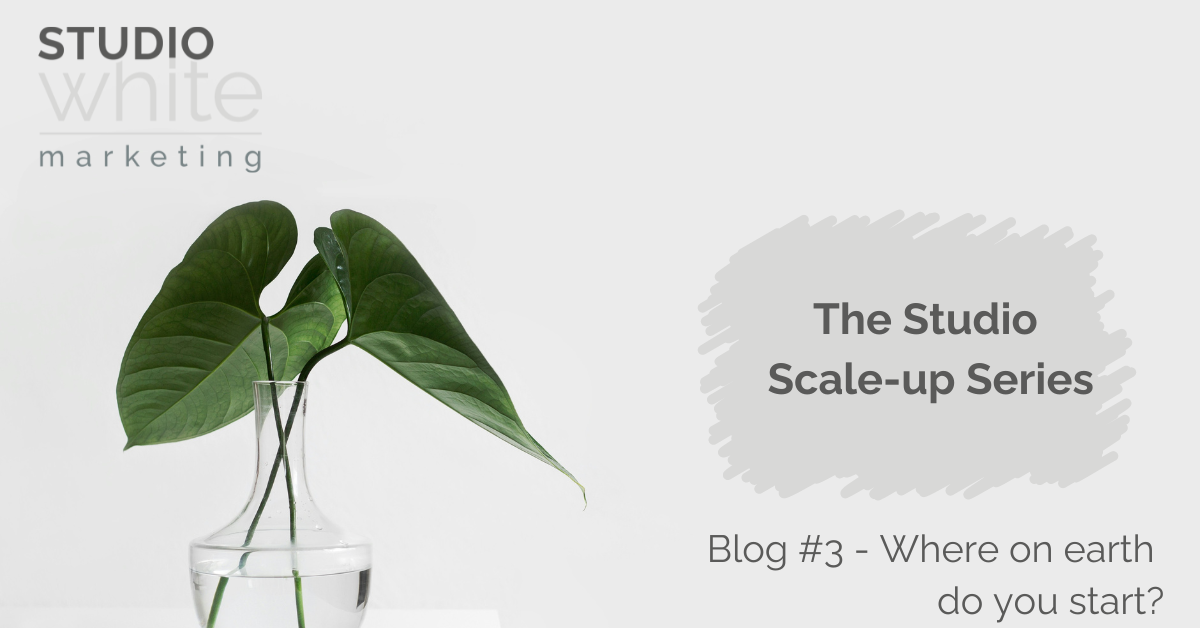 Blog #3 – Where on Earth Do You Start When Wanting to Scale Up Your Consultancy?