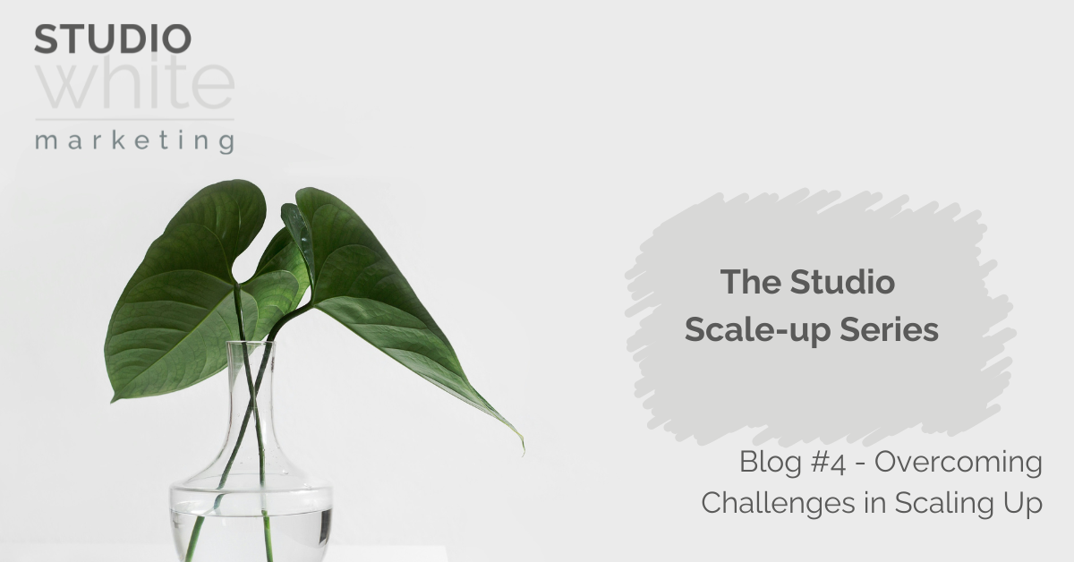 Overcoming Challenges in Scaling Up